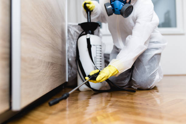 Best Wildlife Control Services  in Girard, OH