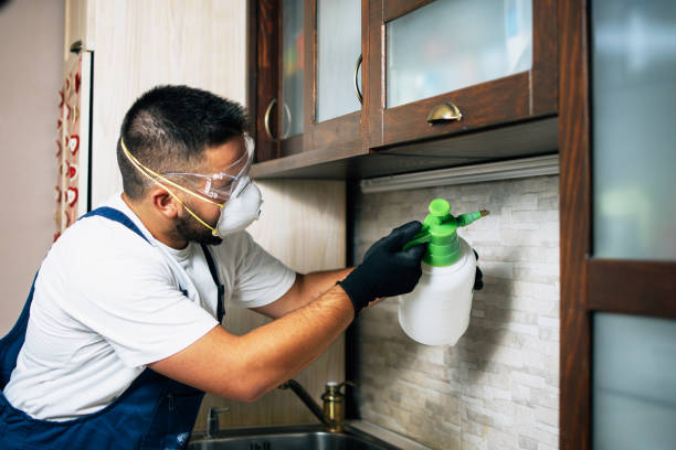 Best Flea Control Services  in Girard, OH