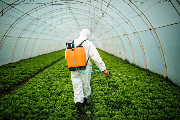 Best Pest Control Treatment  in Girard, OH