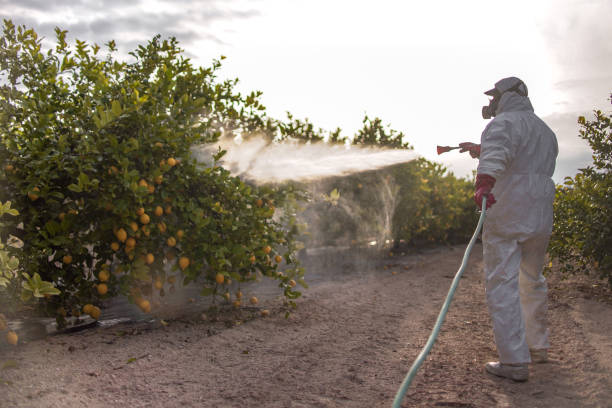 Best Mosquito Control Services  in Girard, OH