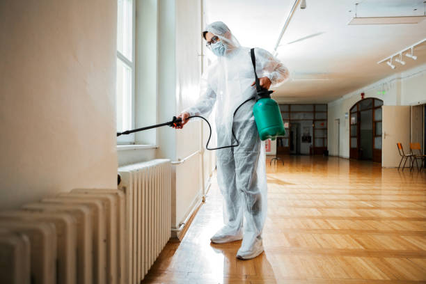 Best Termite Control Services  in Girard, OH