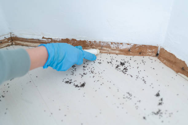 Best Affordable Pest Control Services  in Girard, OH